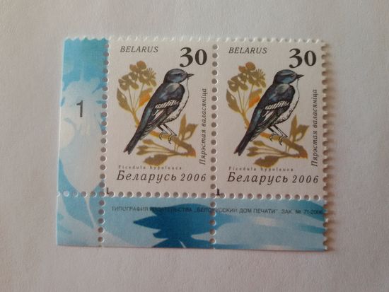Беларусь. 2006. Девятый стандарт. Зак. 71-2006. Лист 6х7 (1). Пара с номером заказа (А064)