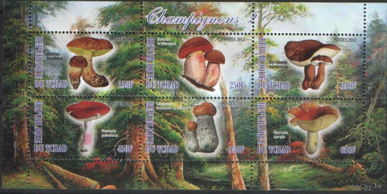 Грибы 6-2