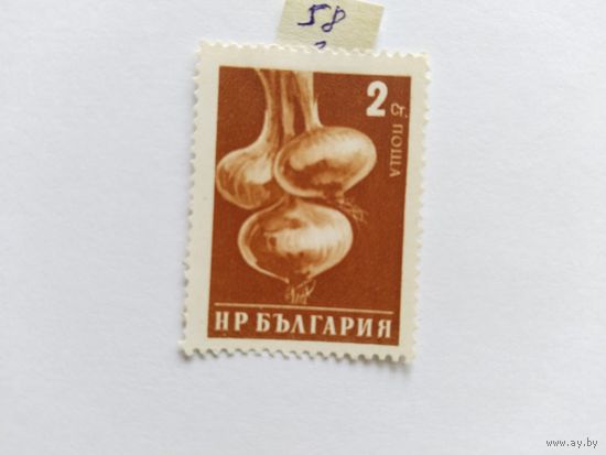 Болгария  1958  лук