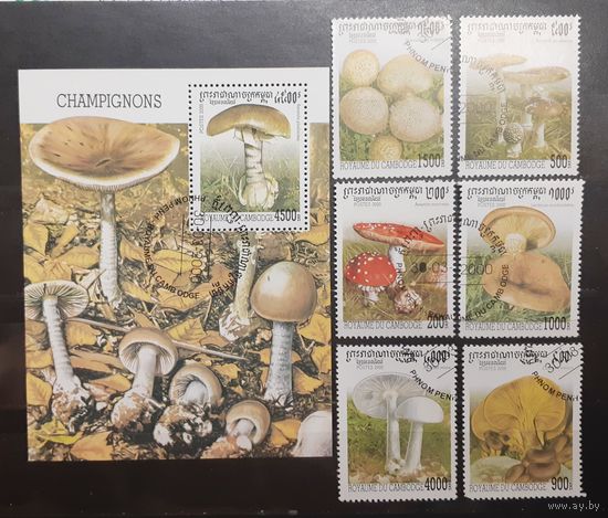 Камбоджа. 2000 год. Флора. Грибы. Блок и 6 марок (1001)