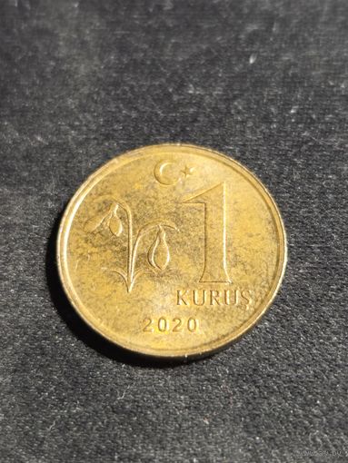 Турция 1 куруш 2020