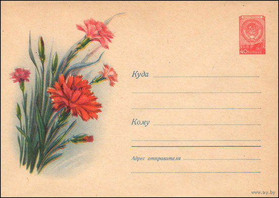 Художественный маркированный конверт СССР N 547 (12.10.1957) Рисунок букета с гвоздиками