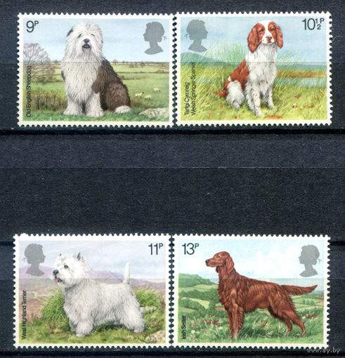 Великобритания - 1979г. - собаки, шоу собак - 4 марки - полная серия, MNH [Mi 781-784]. #3-GB-Z-1-21