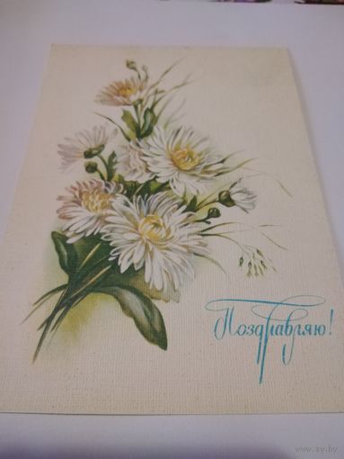 Открытка 1988г. Чистая. Художник В. Макаров.