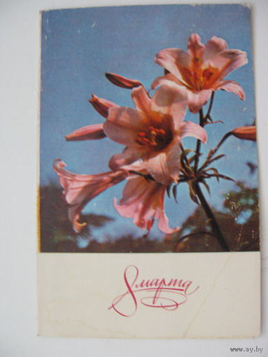 8 Марта -.1970