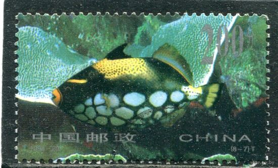 Китай. Морская фауна. Рыбы