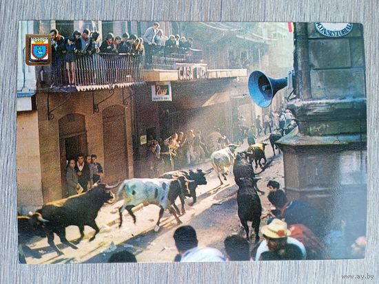 Этнография. Испания, Памплона. Праздник Сан Фермин. Бегущие по улице мальчики и быки