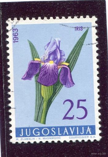 Югославия. Флора. Цветы