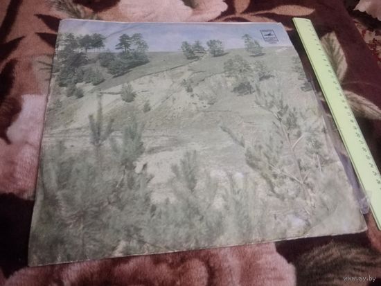 Ансамбль Апельсин