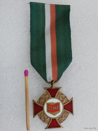 Знак ПНР. За заслуги перед Союзом Польской Социалистической молодёжи.