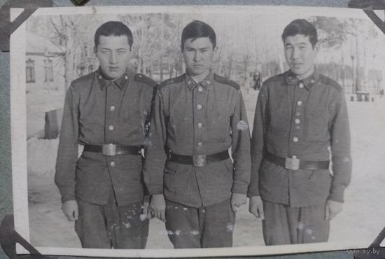 Фото в коллекцию