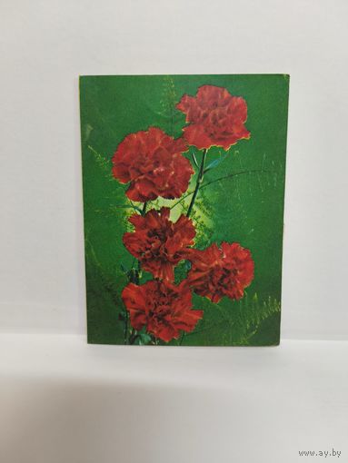 Двойная почтовая открытка для телеграмм, б/у. 1983г. Серия Ж-62. Фото Г. Костенко. 14