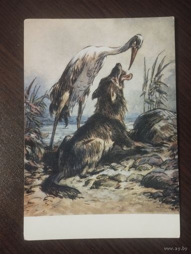 "Волк и Журавль". Худ. Таранов.Чистая.1956г.