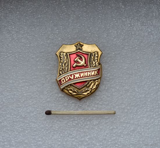 Дружинник.