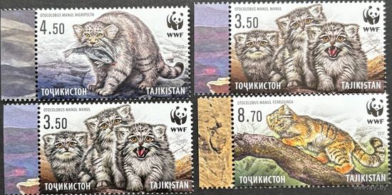 Таджикистан 2017 . Фауна. WWF. Манул
