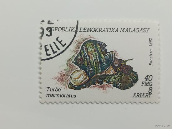 Мадагаскар 1993. Моллюски