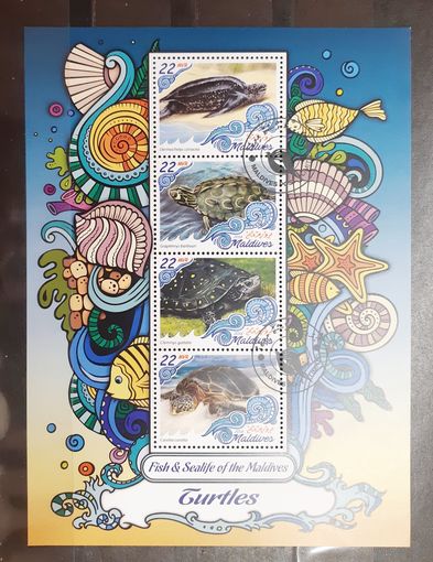 Мальдивы. 2016 год. Фауна. Рептилии. Черепахи (1128)