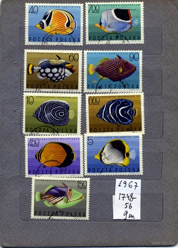 ПОЛЬША, 1967,   1м,  РЫБЫ,  серия 9м, гашен