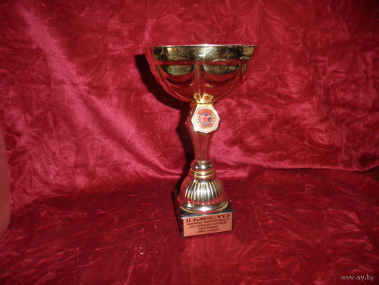 Кубок ДОСААФ республика Беларусь 2-е место Чемпионат Минской области по стрельбе пулевой среди юношей Минск 03.03.3012 .С рубля.