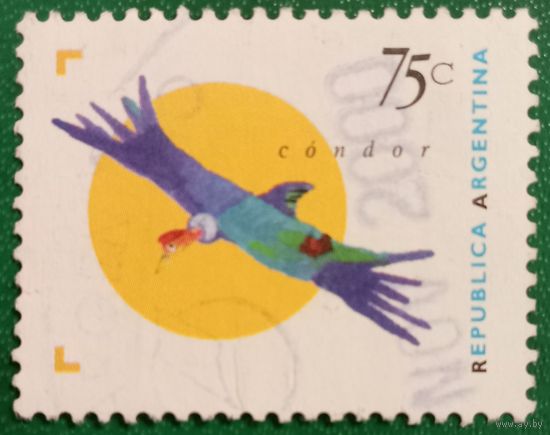 Аргентина. Фауна. Кондор