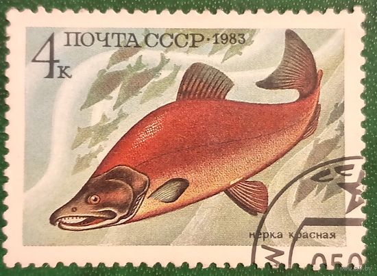 СССР 1983. Фауна. Рыбы. Нерка красная