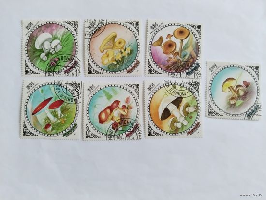 Монголия  1985  7 м  грибы
