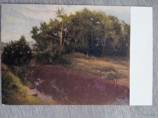 1953. Невежин. Тихий вечер