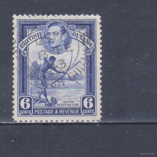 [1710] Британские колонии. Британская Гвиана 1938. Георг VI.Индеец с луком. Гашеная марка.