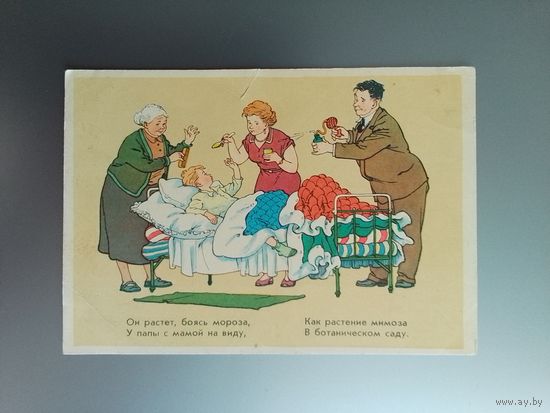 Мальчик мимоза.  Худ. Вальк 1955 г. Чистая