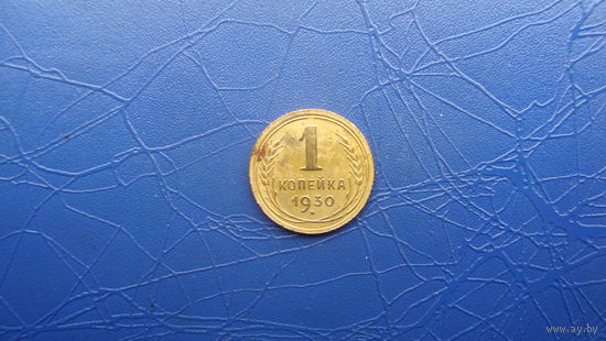 1 копейка 1930                                      (426)