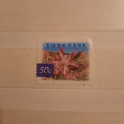 Австралия 2002. Флора. Desert Star Flower