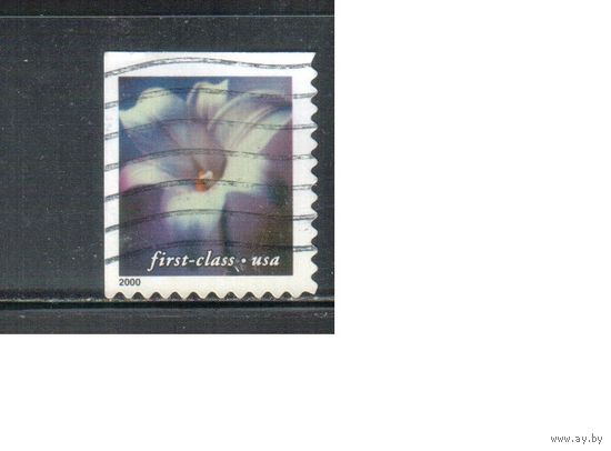 США-2000 (Мих.3395 ВЕ) , гаш. , Стандарт, 1-й класс, Цветы,