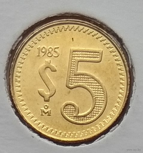 Мексика 5 песо 1985 г. Латунь. В холдере