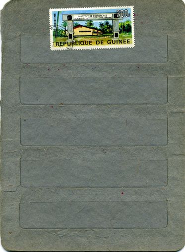 ГВИНЕЯ,  ИНСТИТУТ БИОЛОГИИ,    1м