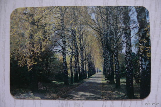Календарик, 1989, Природа.