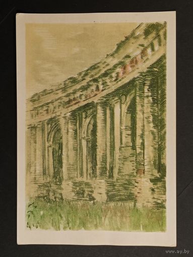 Медведев Мядзведзвеў Беларусь 1957