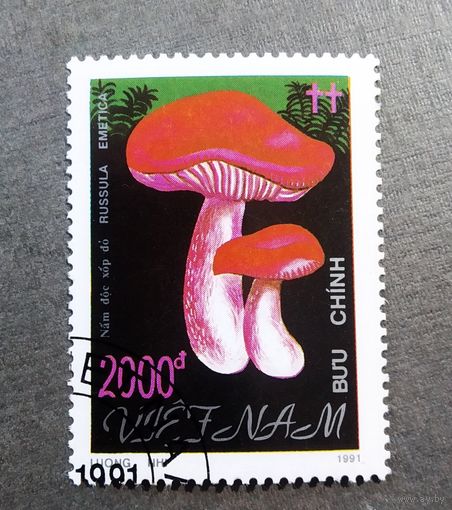 Марка Вьетнам 1991 год Грибы