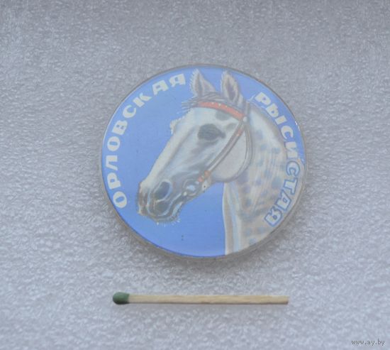 Орловская рысистая.