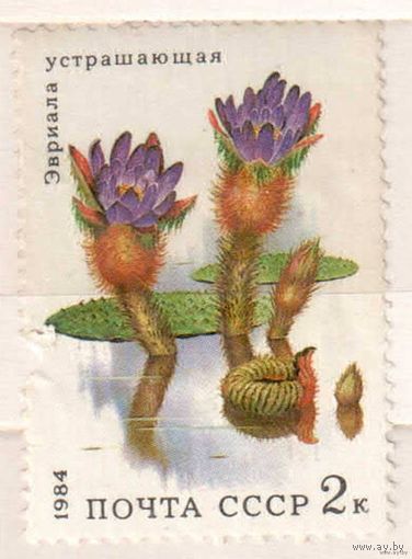Растения. 1 марка, 1984г., чистая. СССР.