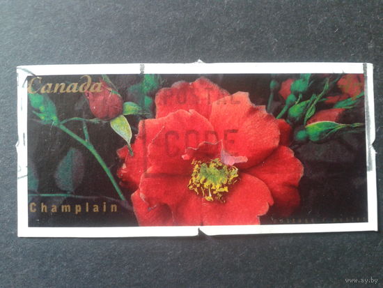 Канада 2001 цветы