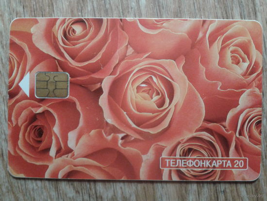 Россия Москва 2002 Розы