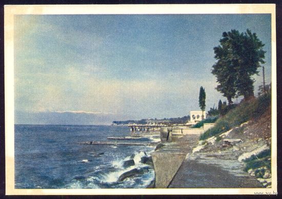 СССР 1954 год Сочи морской берег