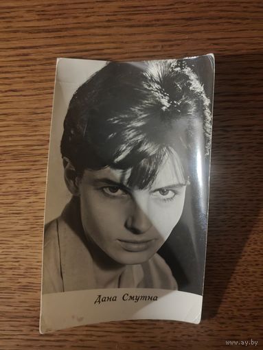 Артисты Смутна