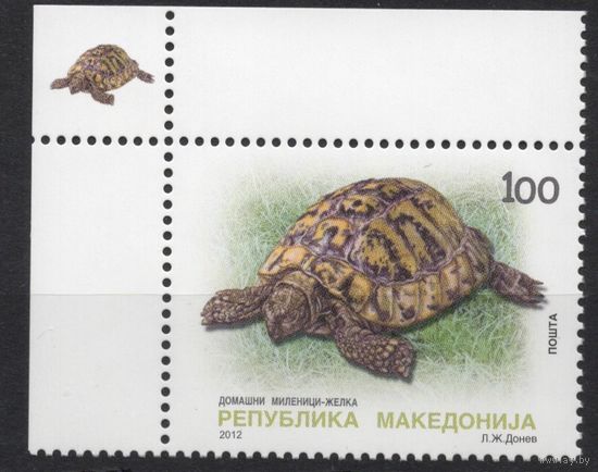 Македония 2012. Фауна черепаха 1 марка (621)