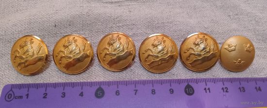 Набор красивых крупных пуговиц. 6 шт. Привезёны из Швеции. Распродажа коллекции.