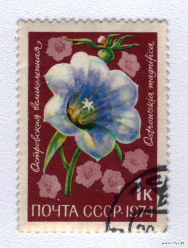Марка СССР 1974 Цветы
