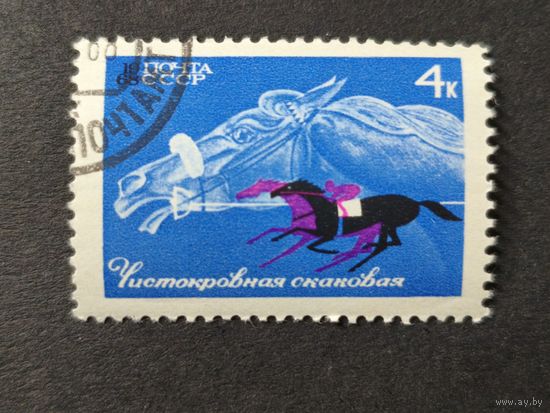 1968 СССР. Коневодство и конный спорт в СССР
