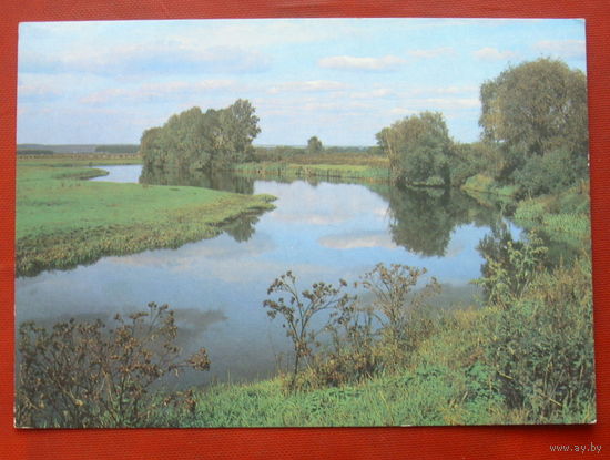 Пейзаж. Чистая. 1989 года. Фото Самсоненко. *196.
