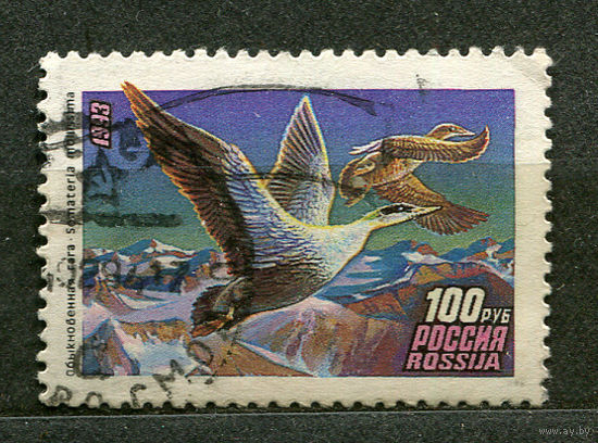 Утки. Россия. 1993