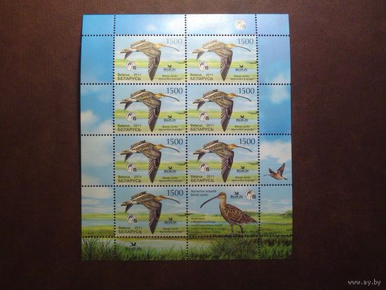 Беларусь 2011 г.Птушка года.Вялiкi Кулён (Большой кроншнеп)./п-т/